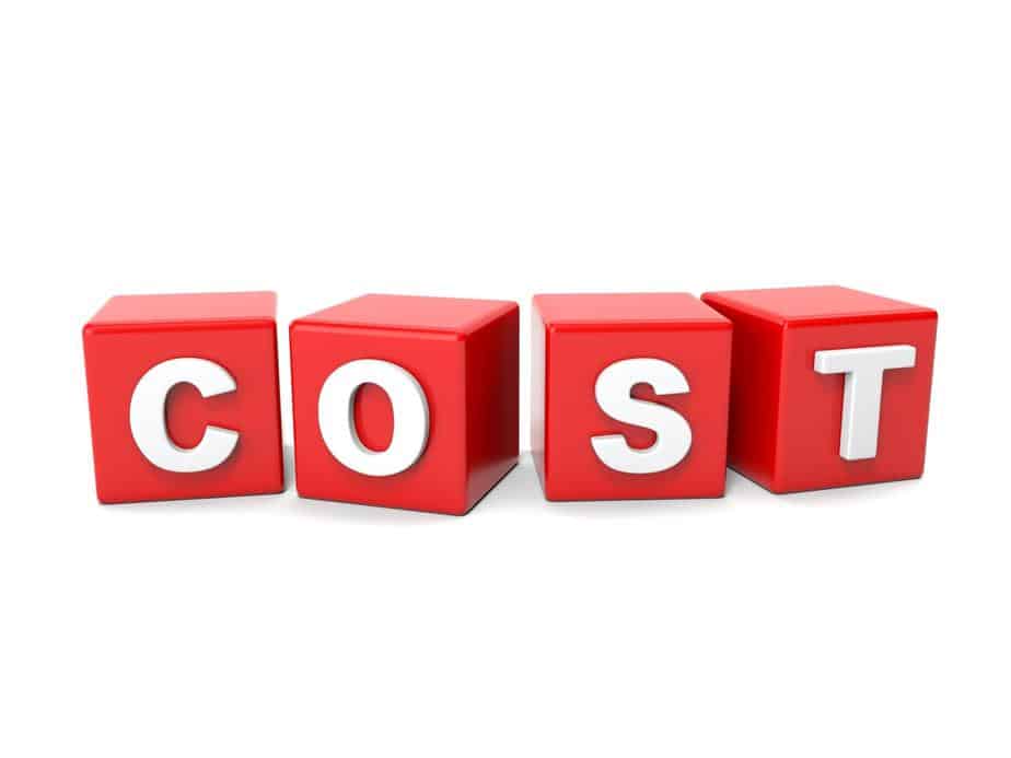 How Much Does Website Hosting Cost